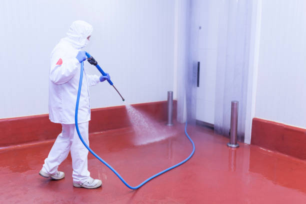 Professional Pressure Washing in Hillburn, NY